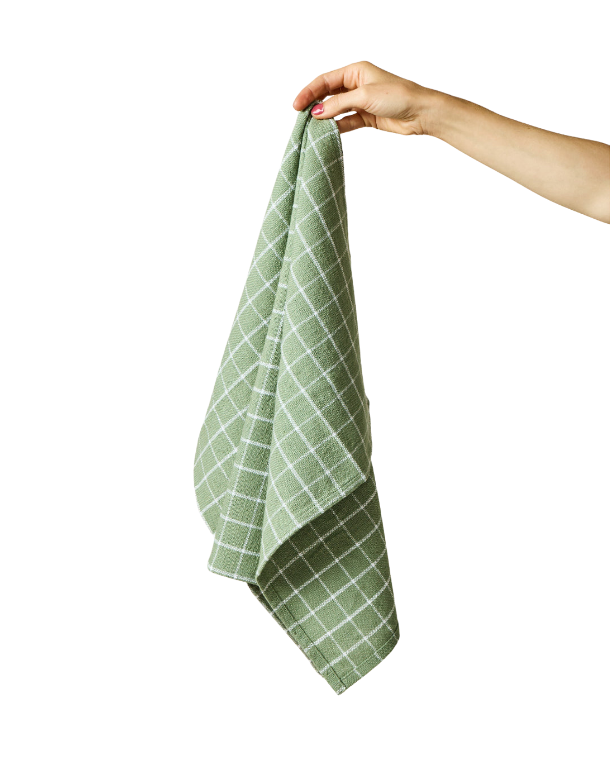 Pantry Cotton Check Kitchen Towels Set